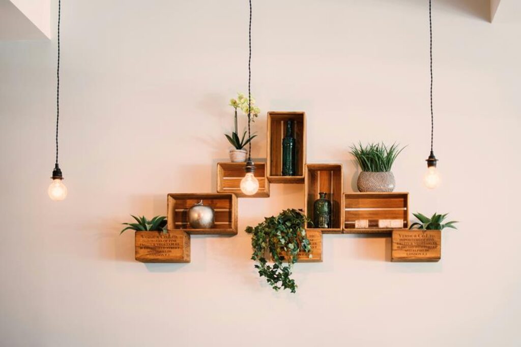 What Are the Best Indoor Plants for Interior Design? What Are the Best Indoor Plants for Interior Design?